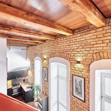 Cozy Loft With Terrace In The City Center Apartment *