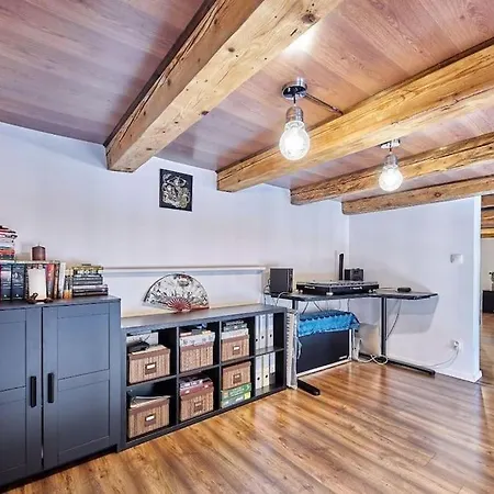 Cozy Loft With Terrace In The Center * Bratislava